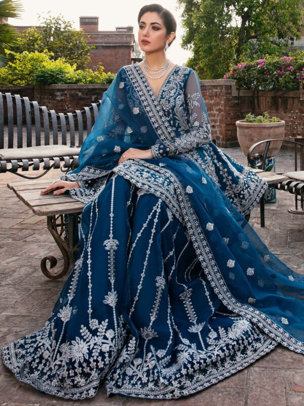 Akbar Aslam Nayara Layali Formals Embroidered Organza