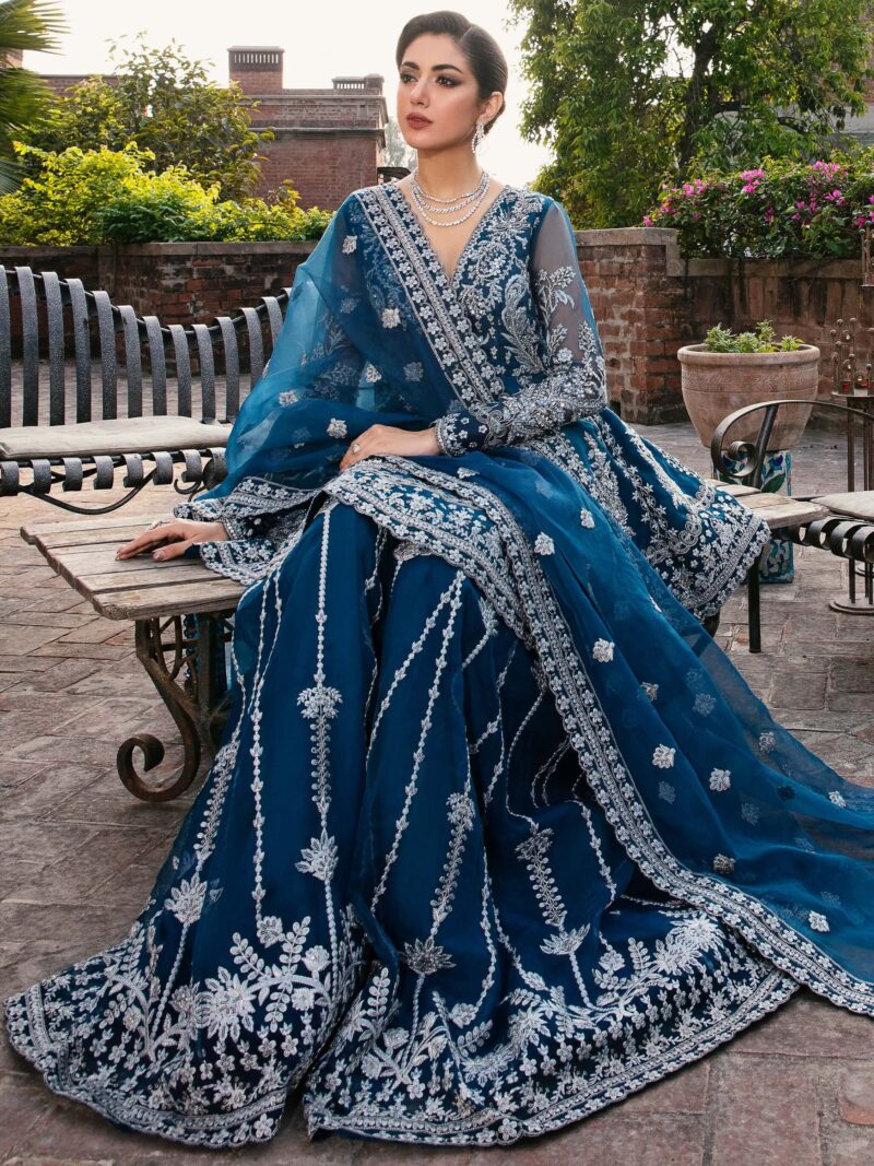 Akbar Aslam Nayara Layali Formals Embroidered Organza