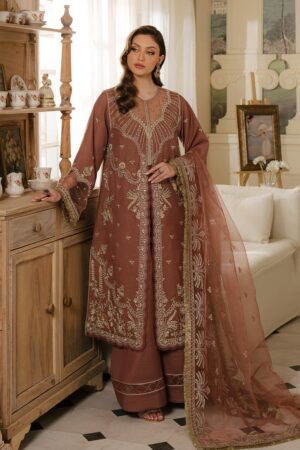 Fabiha Fatima Zircon Reve Royal Fabiha Fatima Embroidered Net