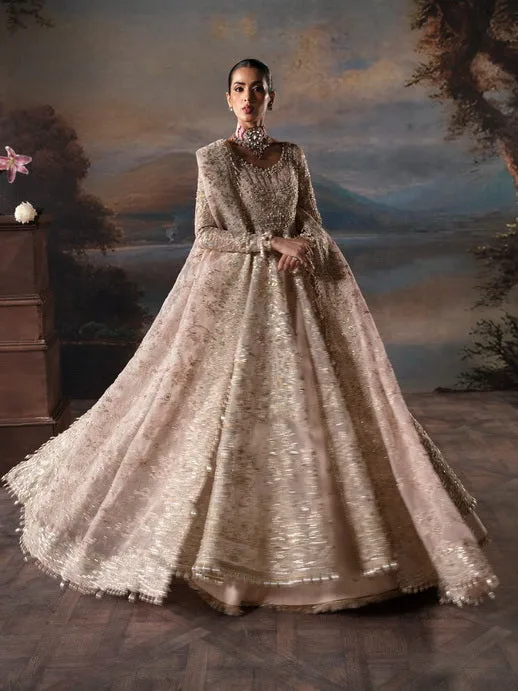 17 Affordable Asian Pakistani Wedding Dresses For Every Bride: A Style Guide 13 Afrozeh Afb-V1-02 Clara The Brides Wedding Formal