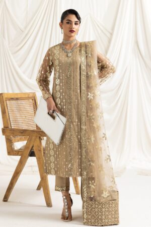 Alizeh Fashion Dua-V02d01b Dua Embroidered Net