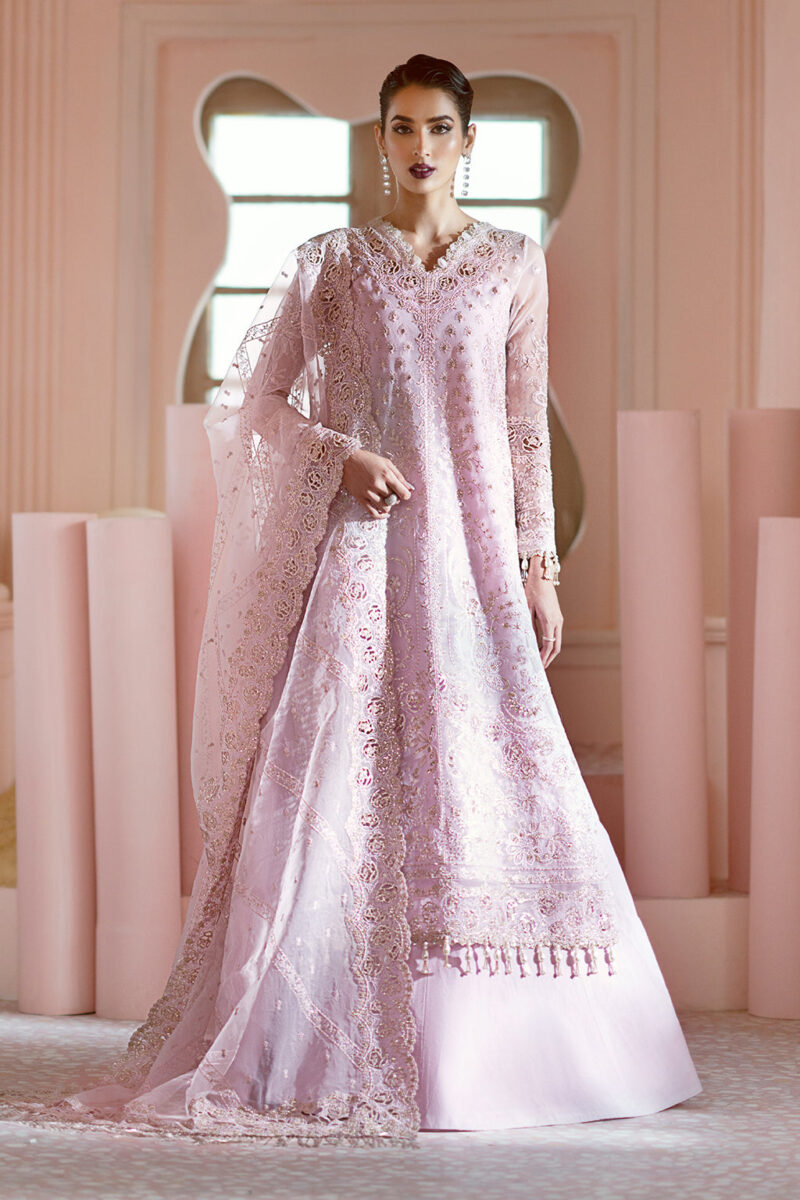 Ayzel Awf-06 Cora Luminara Embroidered Organza