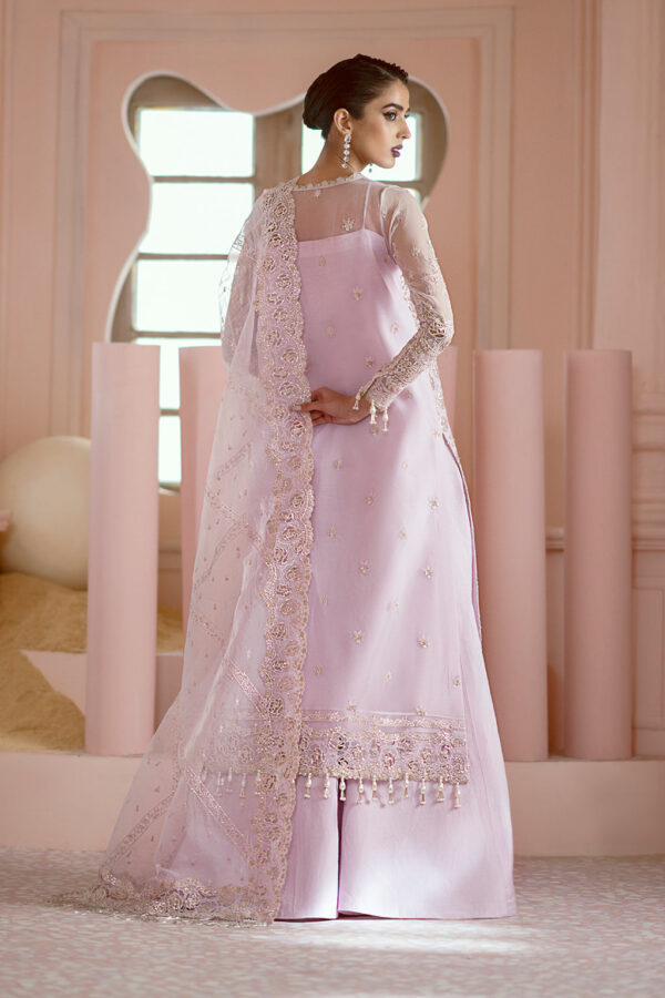 Ayzel Awf-06 Cora Luminara Embroidered Organza