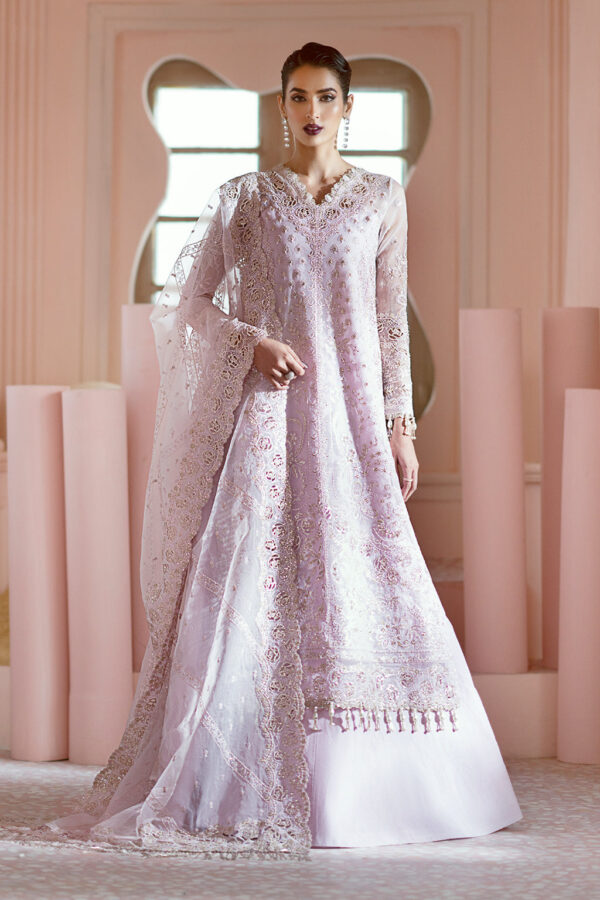 Ayzel Awf-06 Cora Luminara Embroidered Organza