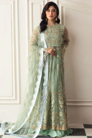 Mushq D-01 Pistachio Hemline Embroidered Net