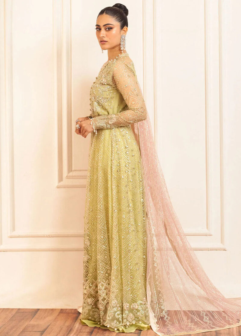 Mushq D-02 Wasabi Hemline Embroidered Net