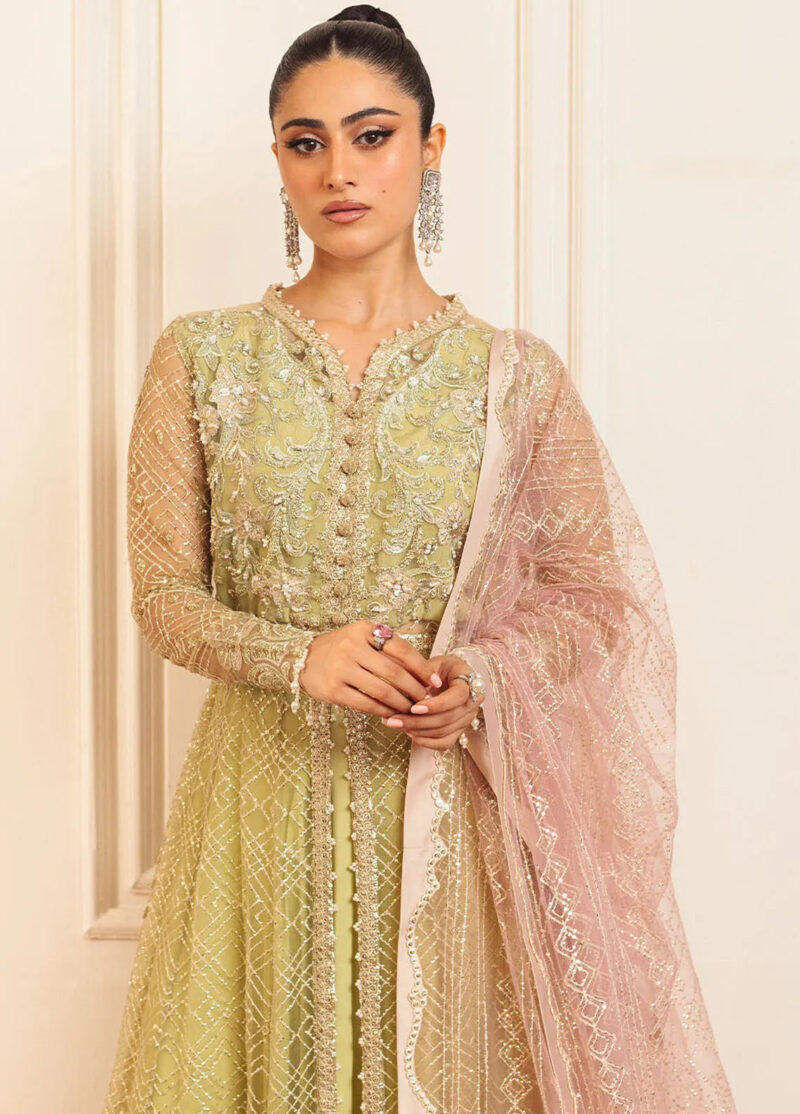 Mushq D-02 Wasabi Hemline Embroidered Net