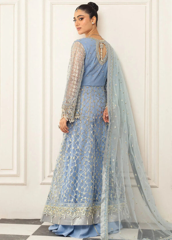 Mushq D-04 Periwinkle Hemline Embroidered Net