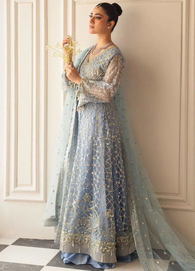 Mushq D-04 Periwinkle Hemline Embroidered Net