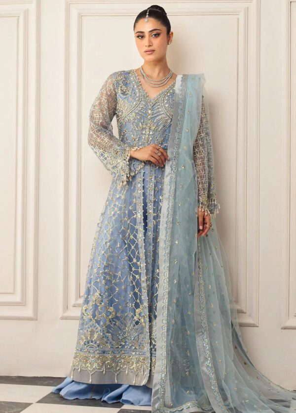 Mushq D-04 Periwinkle Hemline Embroidered Net