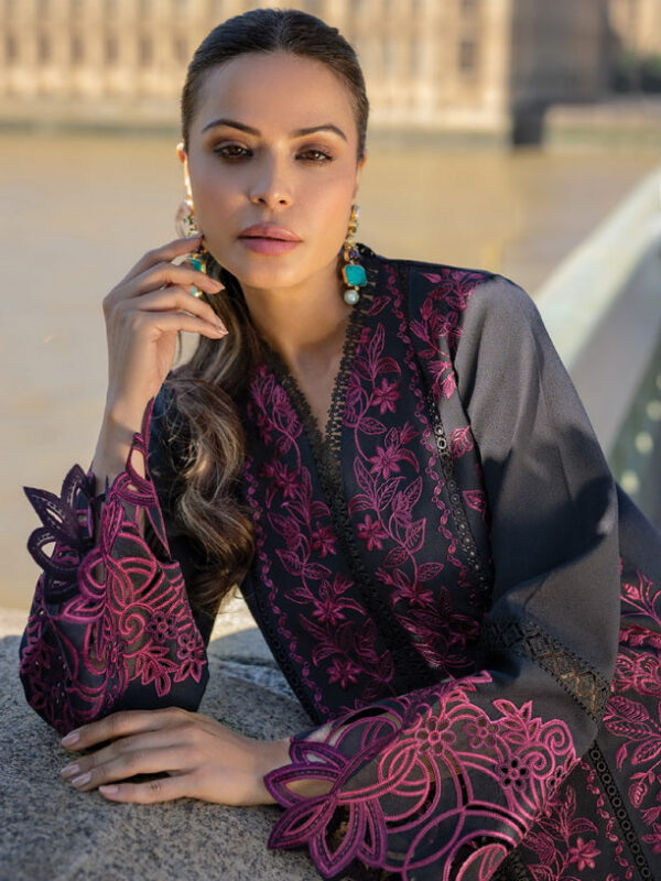 Rang Rasiya D-11 Emily Carnation Embroidered Karandi Collection