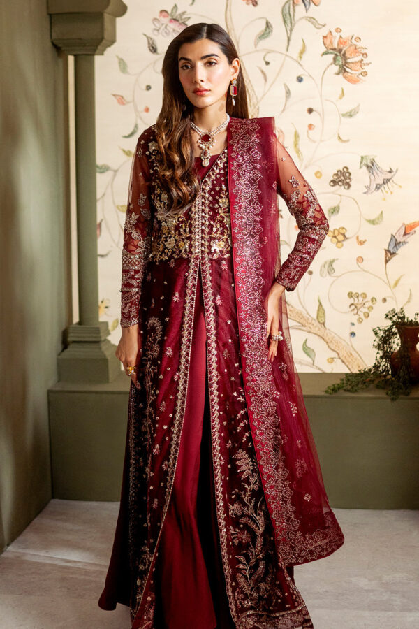 Neeshay Neeshay Parinaaz Wedding Formal Net Dress