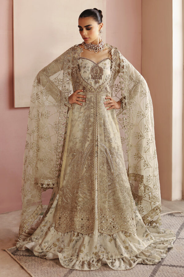 Ramsha E-202 Festive Vol-02 Embroidered Organza