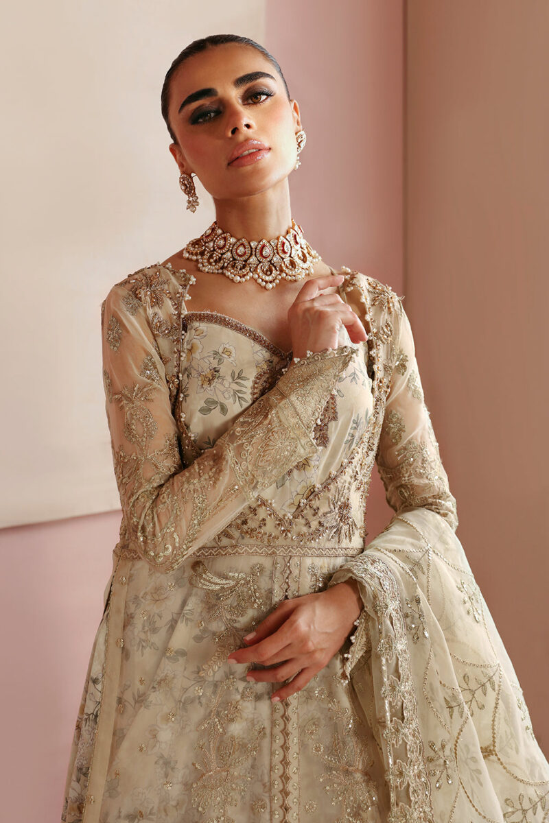 Ramsha E-202 Festive Vol-02 Embroidered Organza