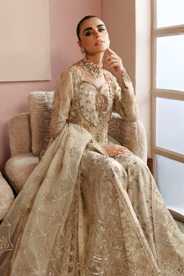 Ramsha E-202 Festive Vol-02 Embroidered Organza