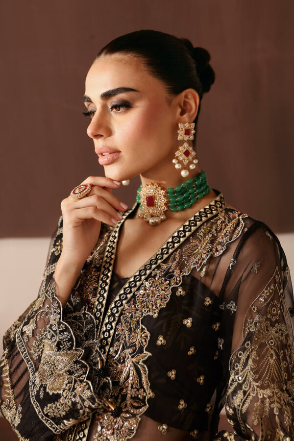 Ramsha E-203 Festive Vol-02 Embroidered Organza