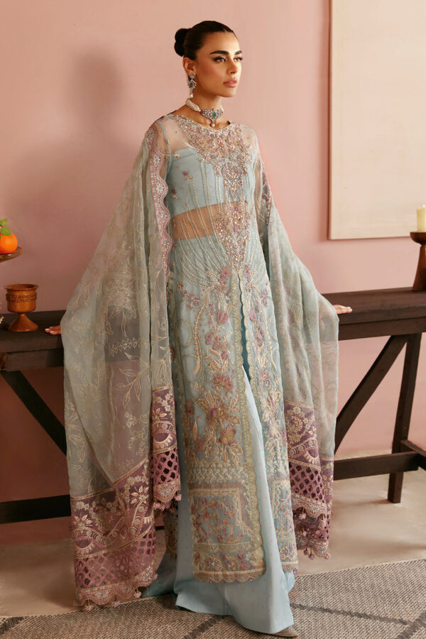 Ramsha E-204 Festive Vol-02 Embroidered Organza