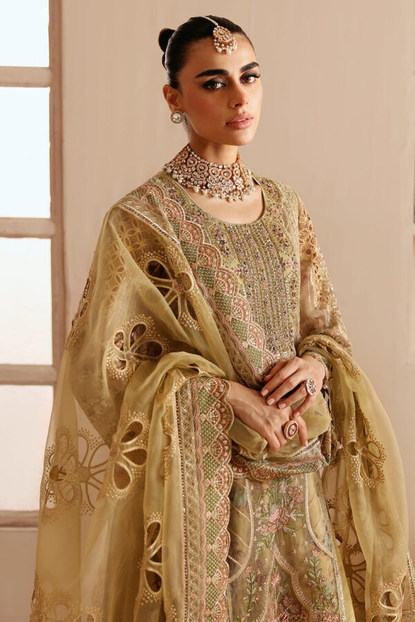 Ramsha E-205 Festive Vol-02 Embroidered Organza