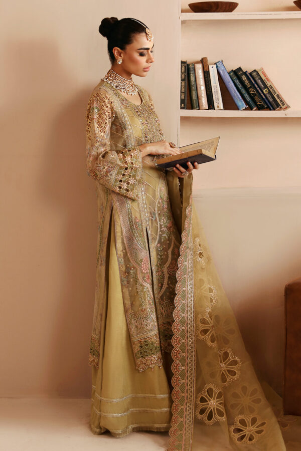 Ramsha E-205 Festive Vol-02 Embroidered Organza