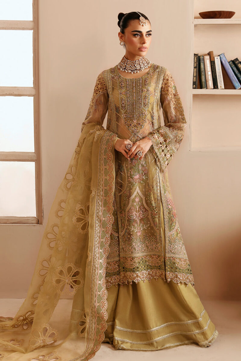 Ramsha E-205 Festive Vol-02 Embroidered Organza