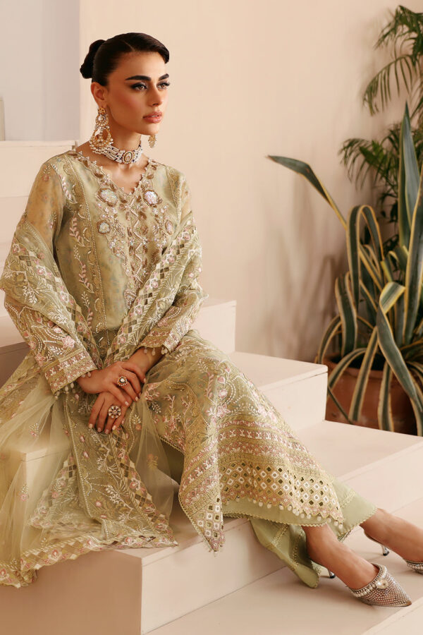 Ramsha E-208 Festive Vol-02 Embroidered Organza