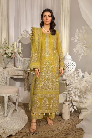 Elaf Premium Efe-03 Sunlit Evara Embroidered Organza