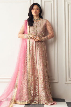 Mushq Amaranth Aura Debut Wedding Collection