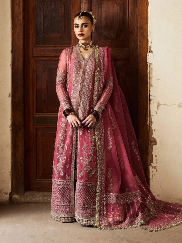 Hussain Rehar Festive Embroidered Organza Dress