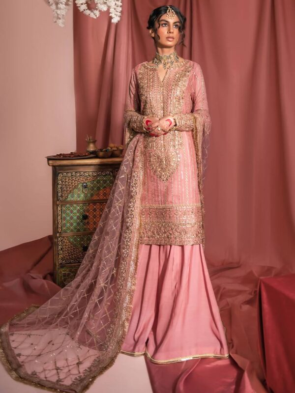 Aik Atelier Look-02 Wedding Festive Embroidered Net