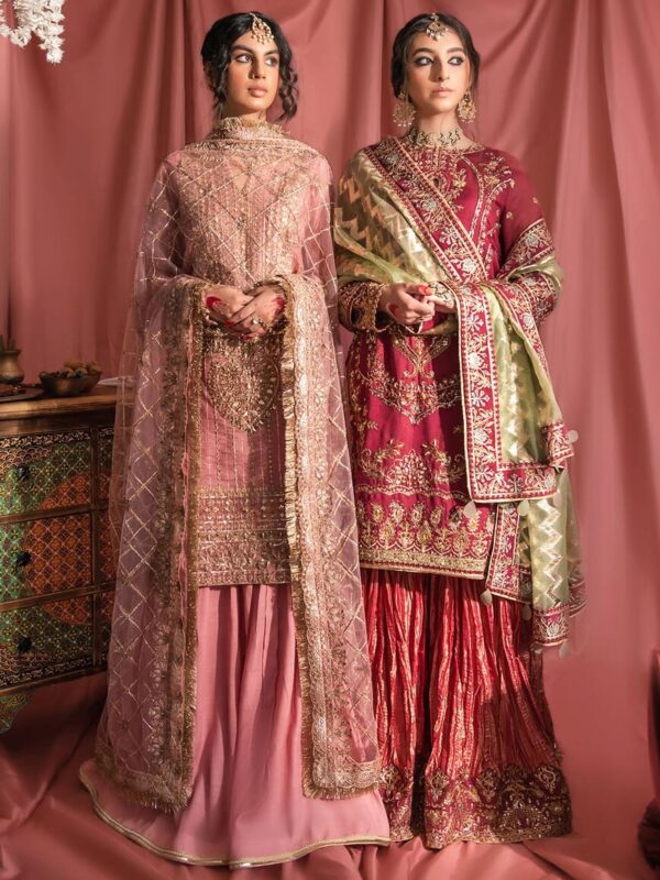 Aik Atelier Look-02 Wedding Festive Embroidered Net