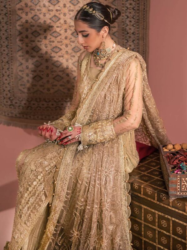 Aik Atelier Look-03 Wedding Festive Embroidered Net