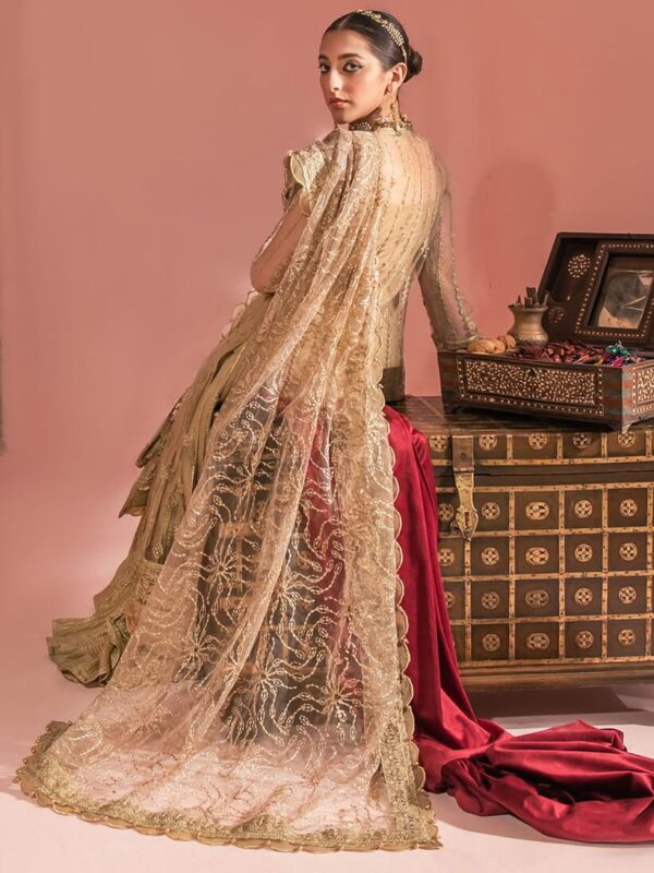 Aik Atelier Look-03 Wedding Festive Embroidered Net