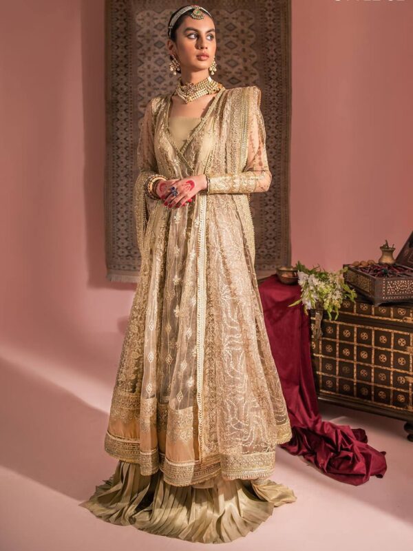 Aik Atelier Look-03 Wedding Festive Embroidered Net