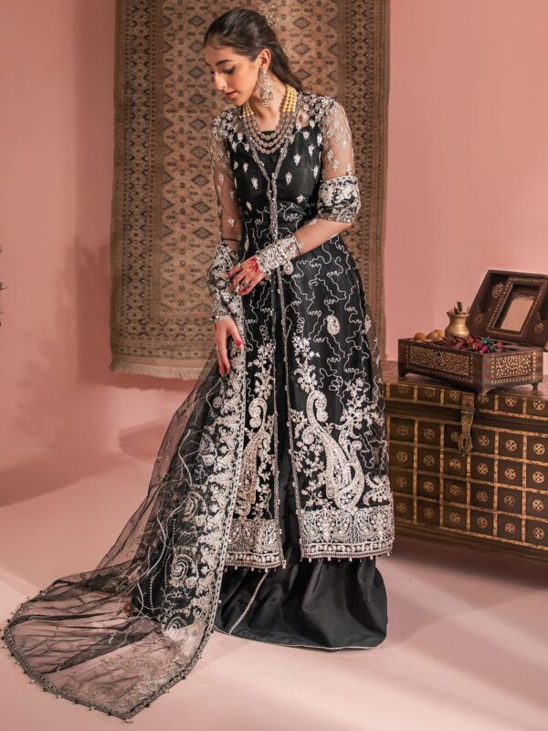 Aik Atelier Look-06 Wedding Festive Embroidered Net