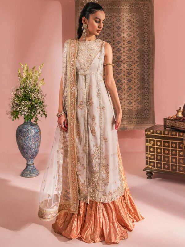 Aik Atelier Look-07 Wedding Festive Embroidered Net