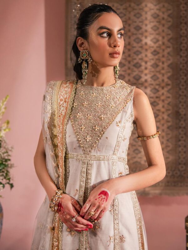 Aik Atelier Look-07 Wedding Festive Embroidered Net