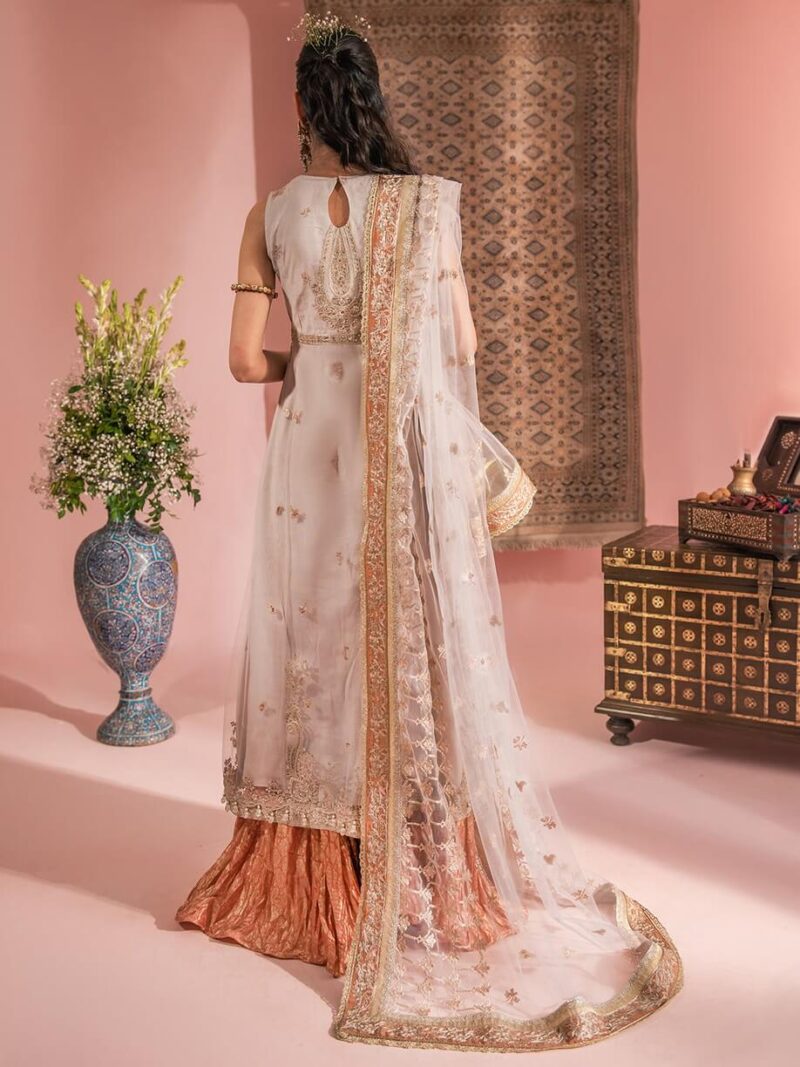 Aik Atelier Look-07 Wedding Festive Embroidered Net