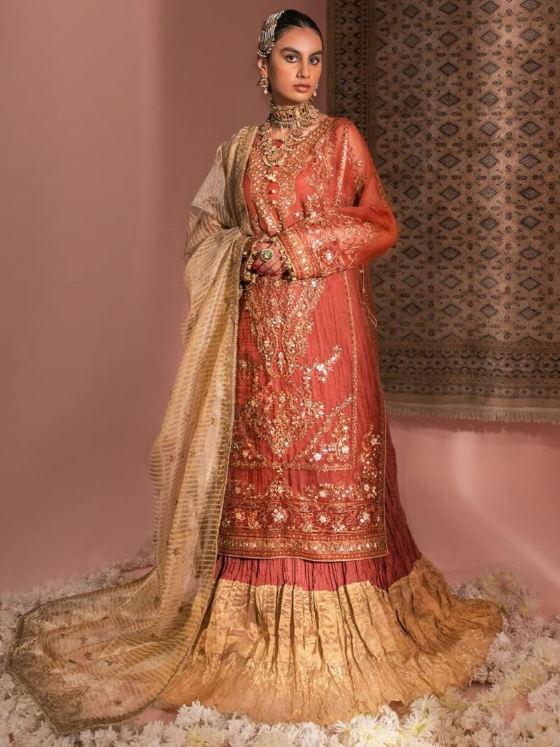 Aik Atelier Look-10 Wedding Festive Embroidered Organza