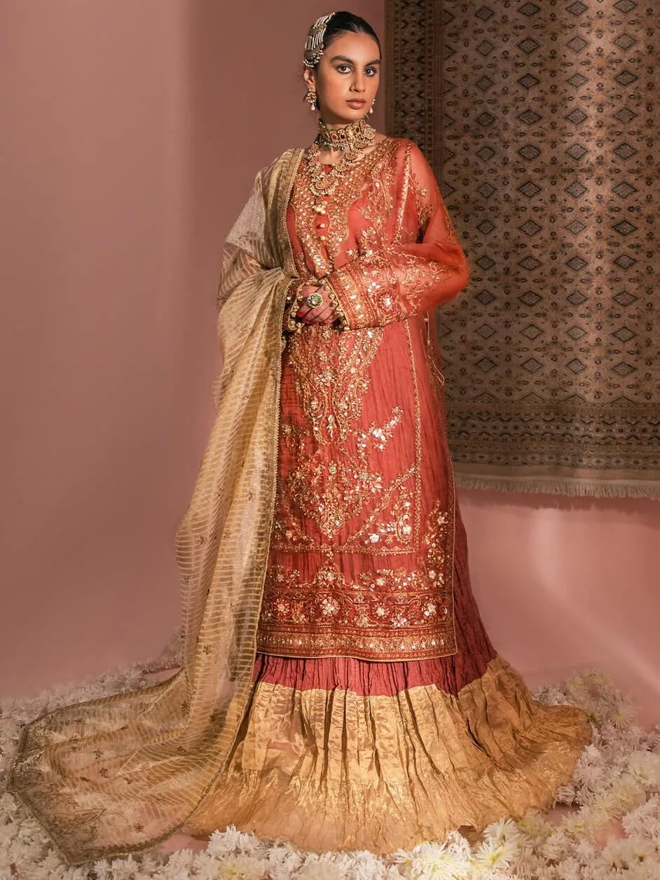 17 Affordable Asian Pakistani Wedding Dresses For Every Bride: A Style Guide 12 Aik Atelier Look-10 Wedding Festive Embroidered Organza