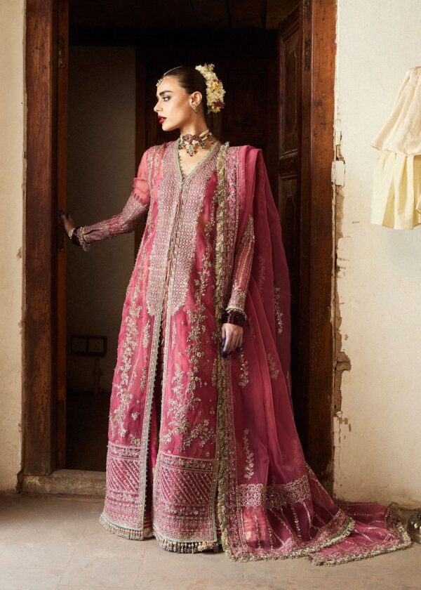 Hussain Rehar Festive Embroidered Organza Dress