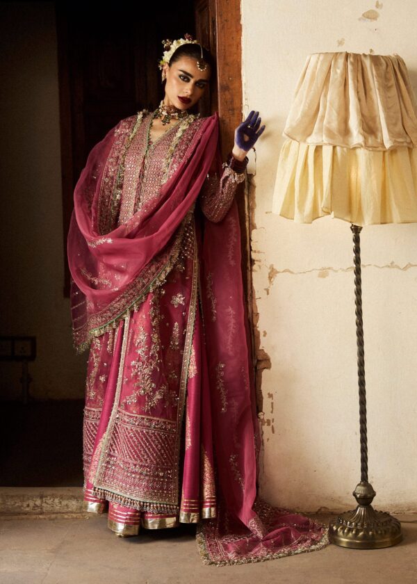 Hussain Rehar Festive Embroidered Organza Dress