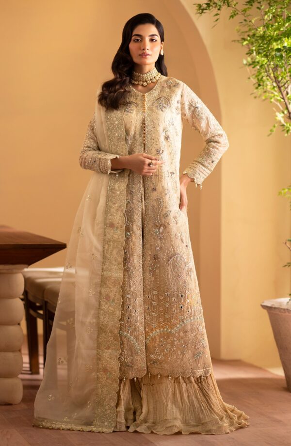 Emaan Adeel Zafia Romansiyyah Embroidered Organza