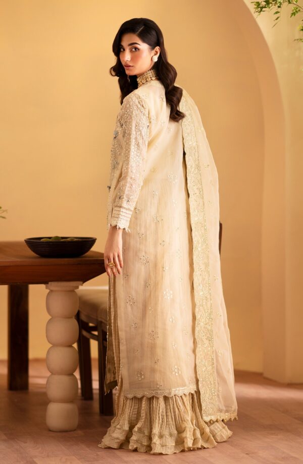 Emaan Adeel Zafia Romansiyyah Embroidered Organza