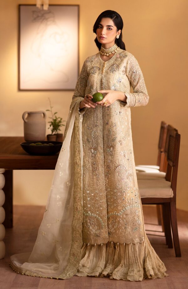 Emaan Adeel Zafia Romansiyyah Embroidered Organza