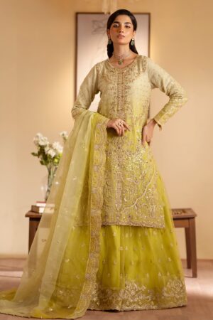 Emaan Adeel Sabian Romansiyyah Embroidered Organza