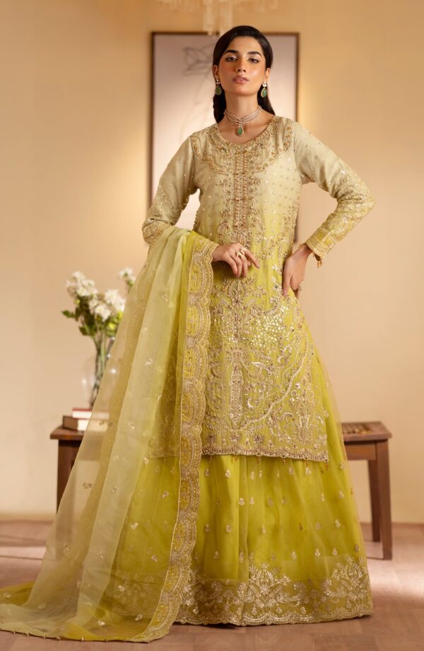 Emaan Adeel Sabian Romansiyyah Embroidered Organza