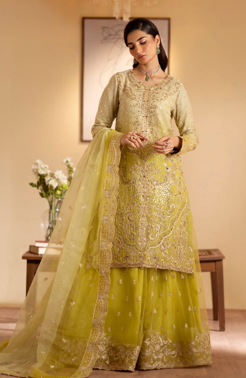 Emaan Adeel Sabian Romansiyyah Embroidered Organza