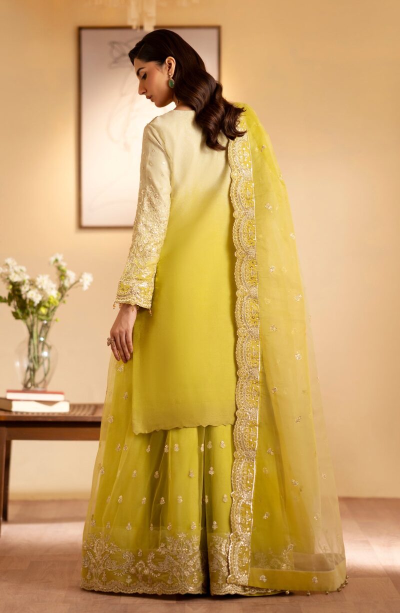 Emaan Adeel Sabian Romansiyyah Embroidered Organza