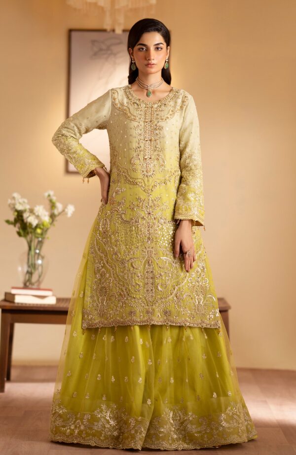 Emaan Adeel Sabian Romansiyyah Embroidered Organza