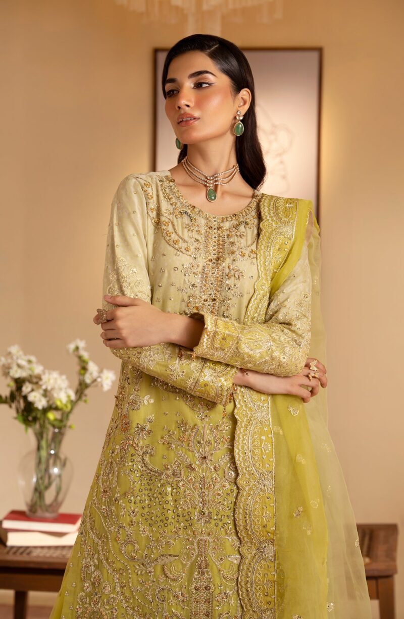 Emaan Adeel Sabian Romansiyyah Embroidered Organza